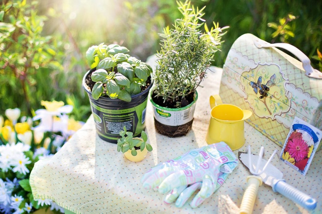 herb gardening