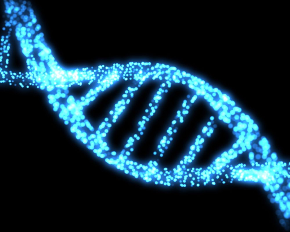 Genetics DNA strand